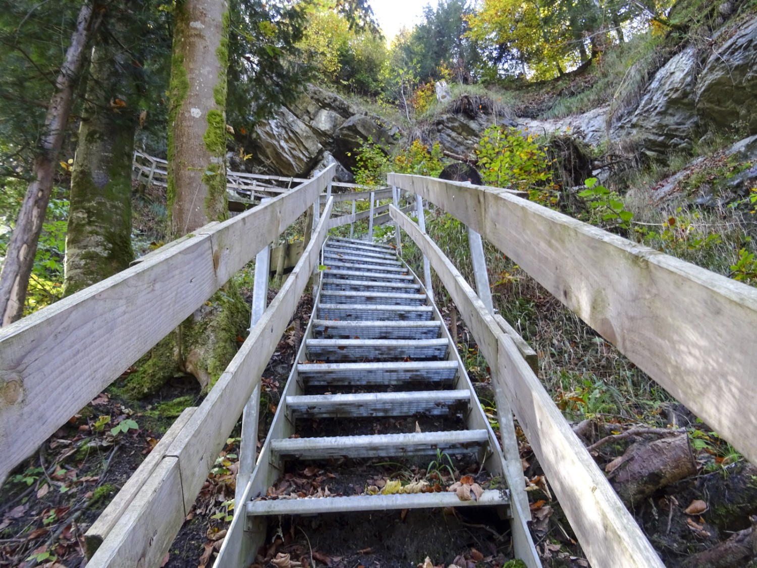 Escaliers et passerelles mènent en toute sécurité dans de profonds ravins en Appenzell Rhodes-Extérieures. Photo: Sabine Joss