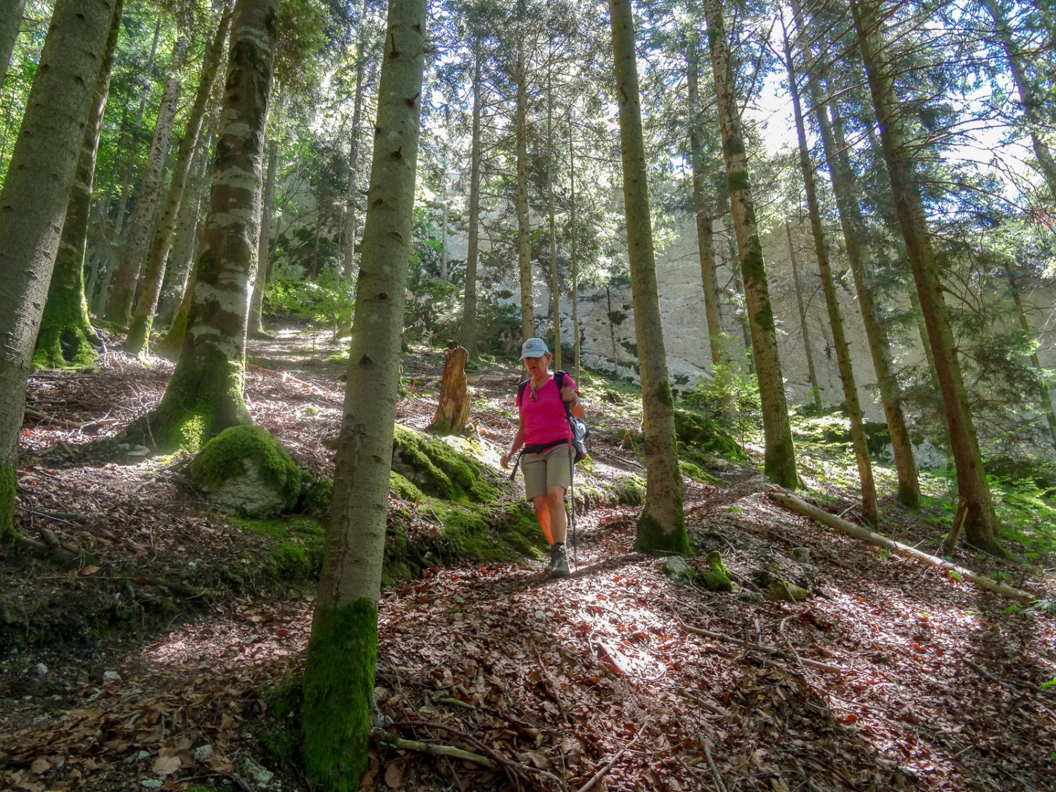 Des bâtons de randonnée sont recommandés. La descente dans les virages serrés est raide de ce côté-ci. Photo: Vera In-Albon