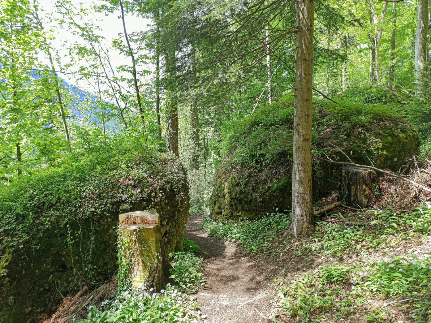 Lors de la montée, le chemin entre les blocs rocheux est parfois étroit. Photo: Michael Dubach