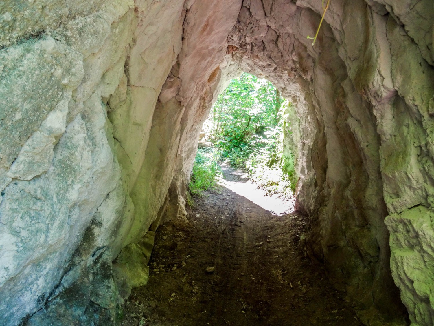 Sur le chemin qui longe La Sorne se trouve un tunnel. Photo: Vera In-Albon
