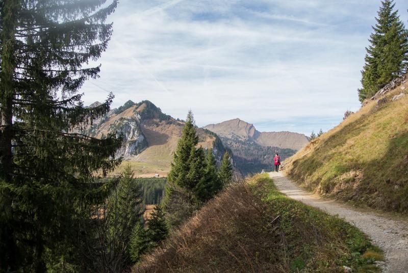 Vues magnifiques sur le chemin panoramique.