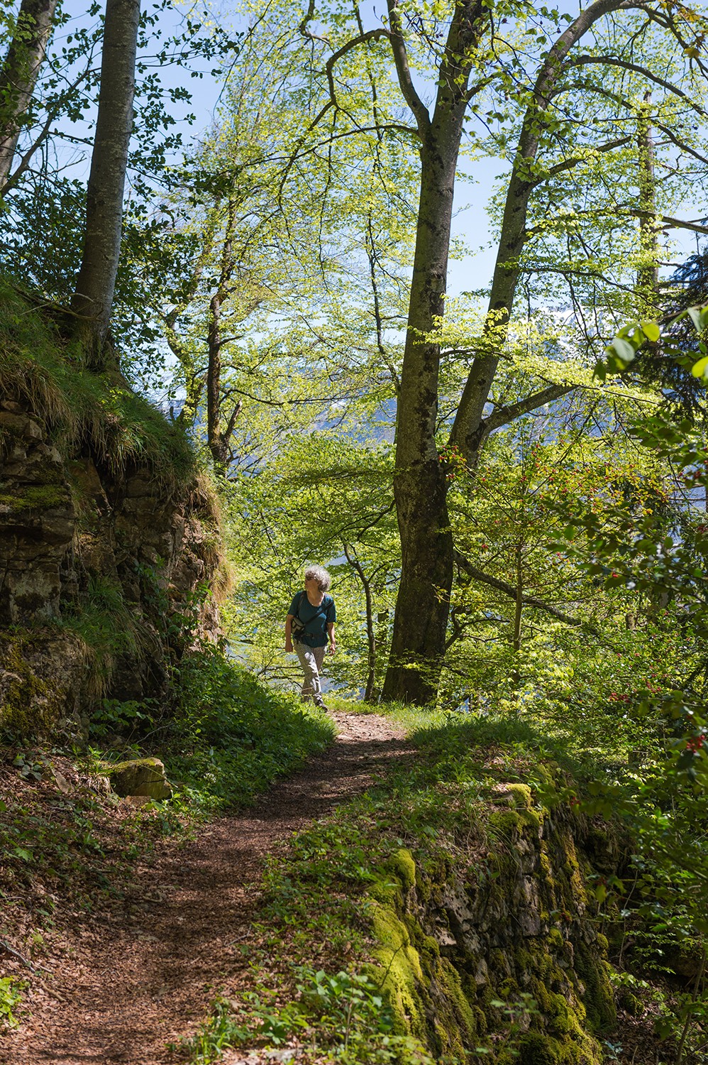 Un beau chemin bien aménagé passe en léger contrebas de la crête jusqu’au col de Rengg.