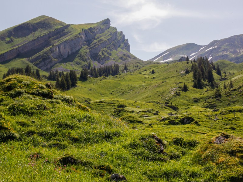 L’arrière-pays, plus sauvage et authentique, des montagnes de Suisse centrale. Photos: Anne-Sophie Scholl