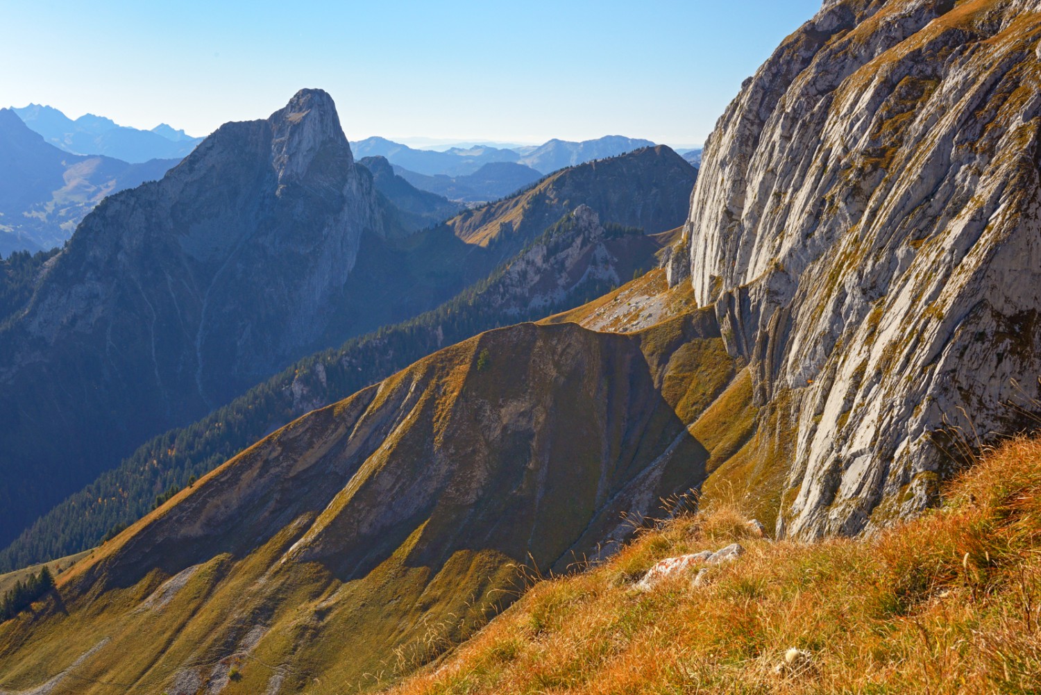 Regard en arrière vers les falaises aux courbes élégantes et la Dent d’Oche. Photo: natur-welten.ch