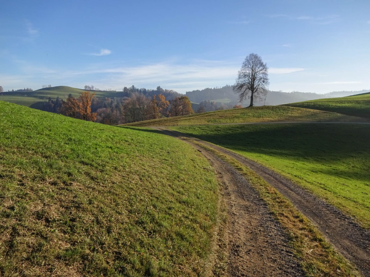 Les collines arrondies font le charme de cette région. Photo: Miroslaw Halaba