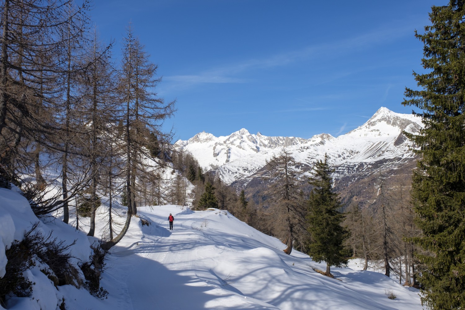 Promenade avec vue sur le massif du Gothard, le Pizzo Lucendro, le Pizzo Rotondo et le Chüebodenhorn. Photo: Iris Kürschner