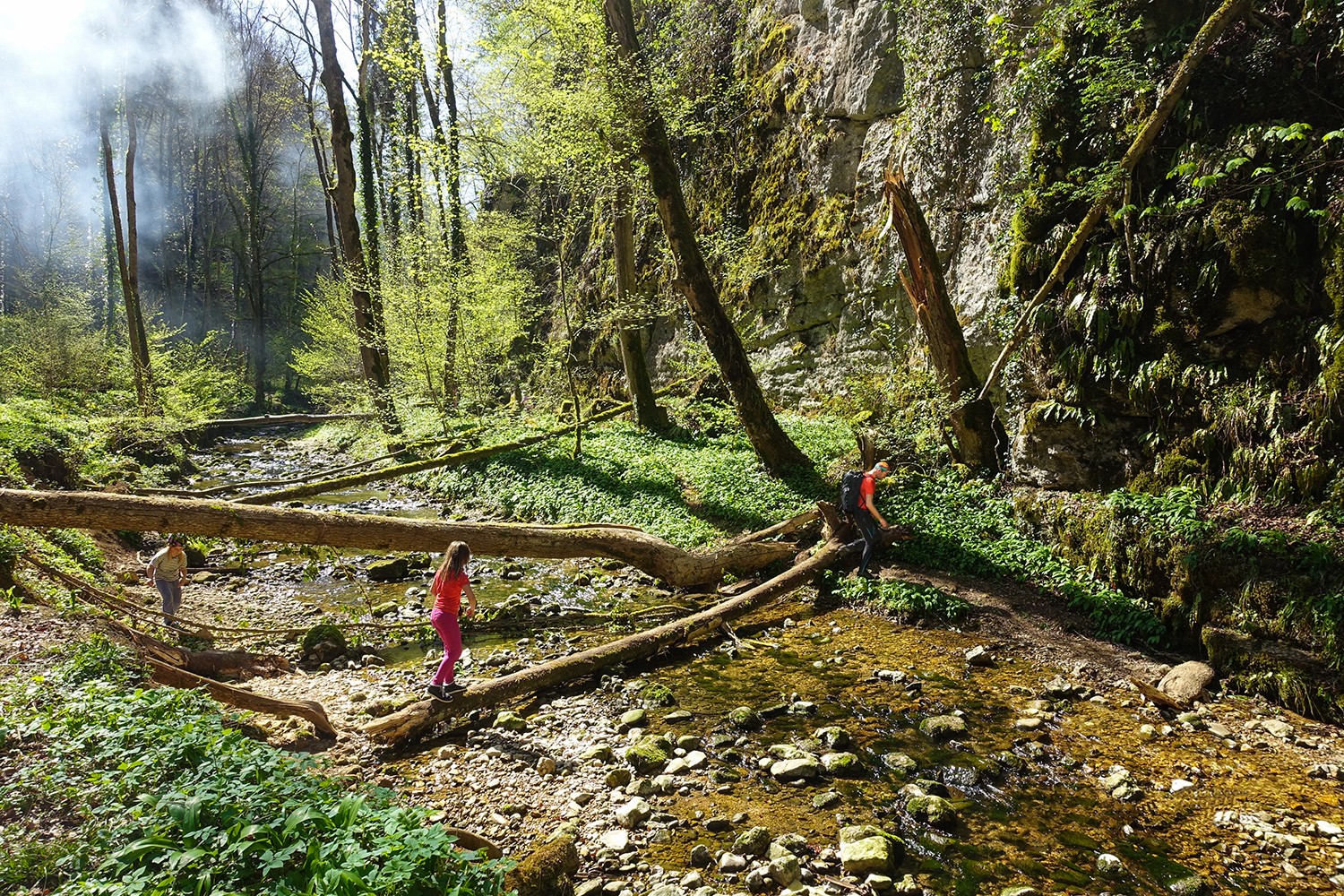 Pour atteindre la grotte Kohlerhöhle, on doit traverser la rivière sur un tronc d’arbre. Photos: Marie-Louise Zimmermann