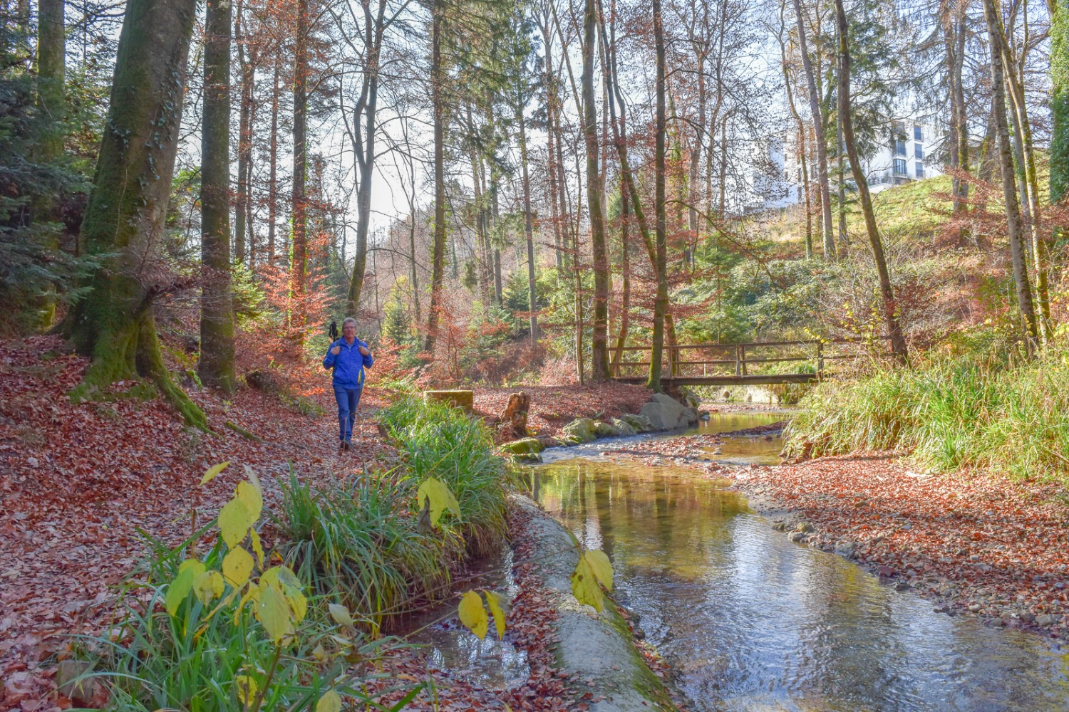 Un bout de nature au cœur de la ville: les bords du Flon sont populaires. Photo: Nathalie Stöckli