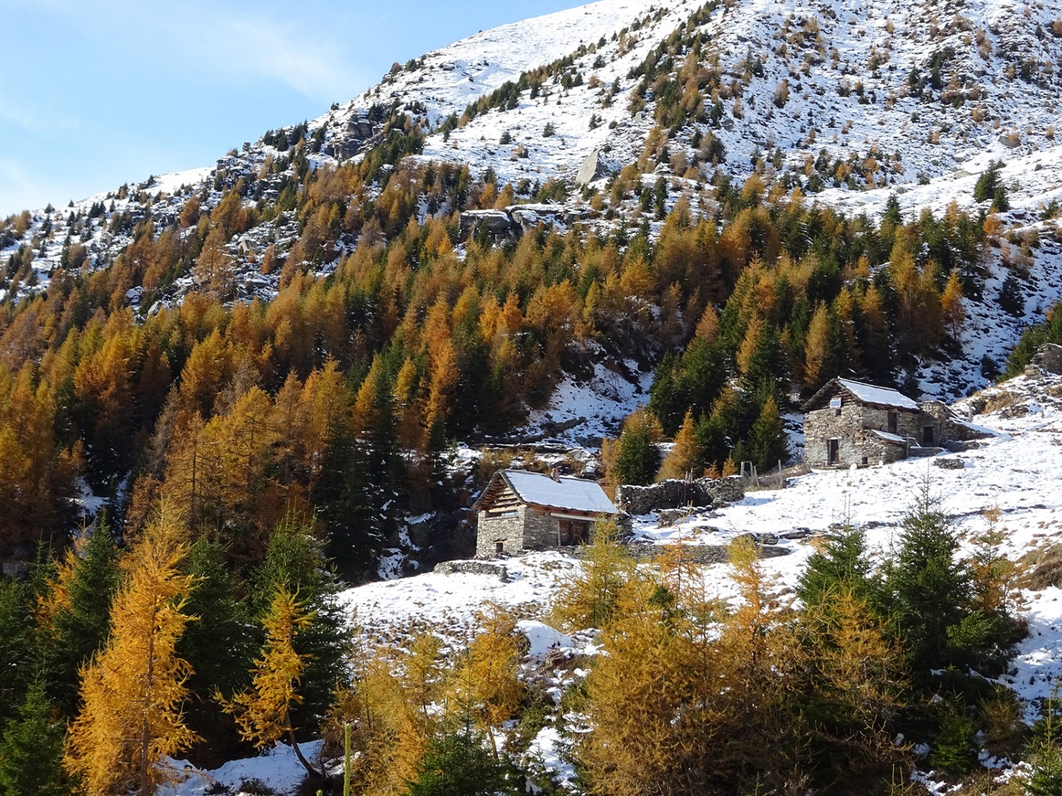 L’Alpe di Ciòu.