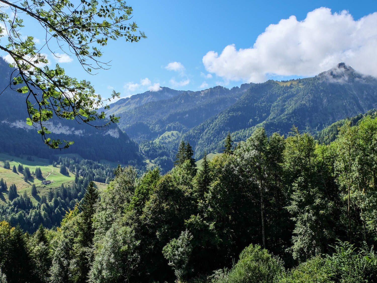 On aperçoit déjà les montagnes vaudoises et le Pays d’Enhaut. Photo: Elsbeth Flüeler
