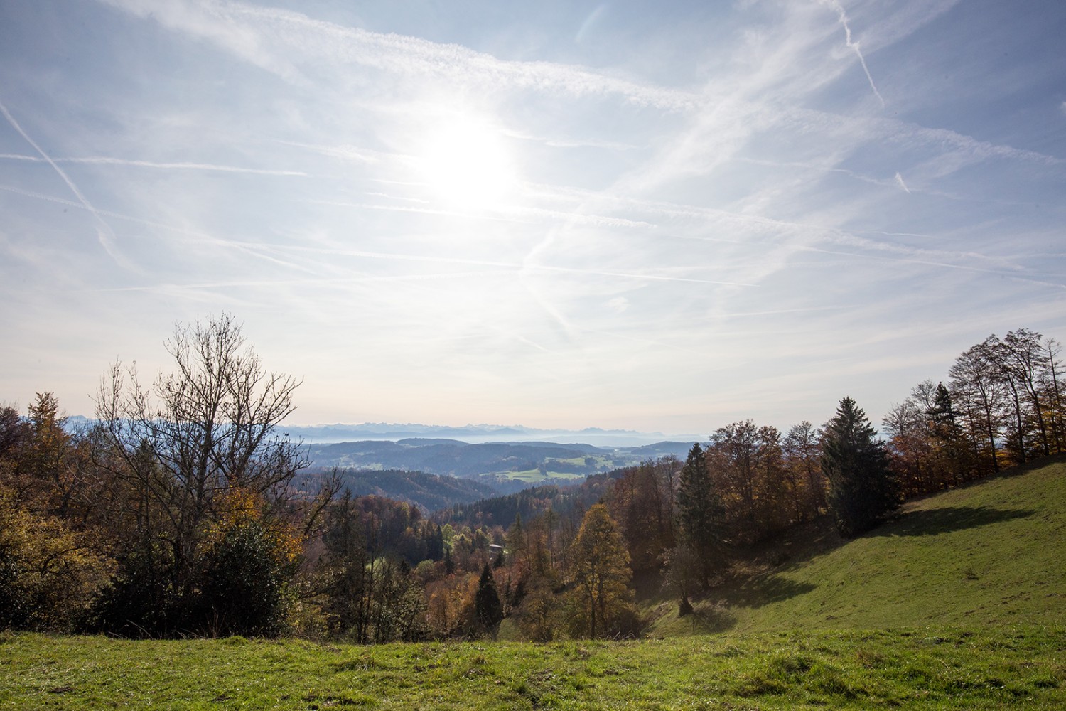 Vue dégagée sur la colline du château du Schauenberg en direction de la vallée de la Töss et de la Suisse centrale.