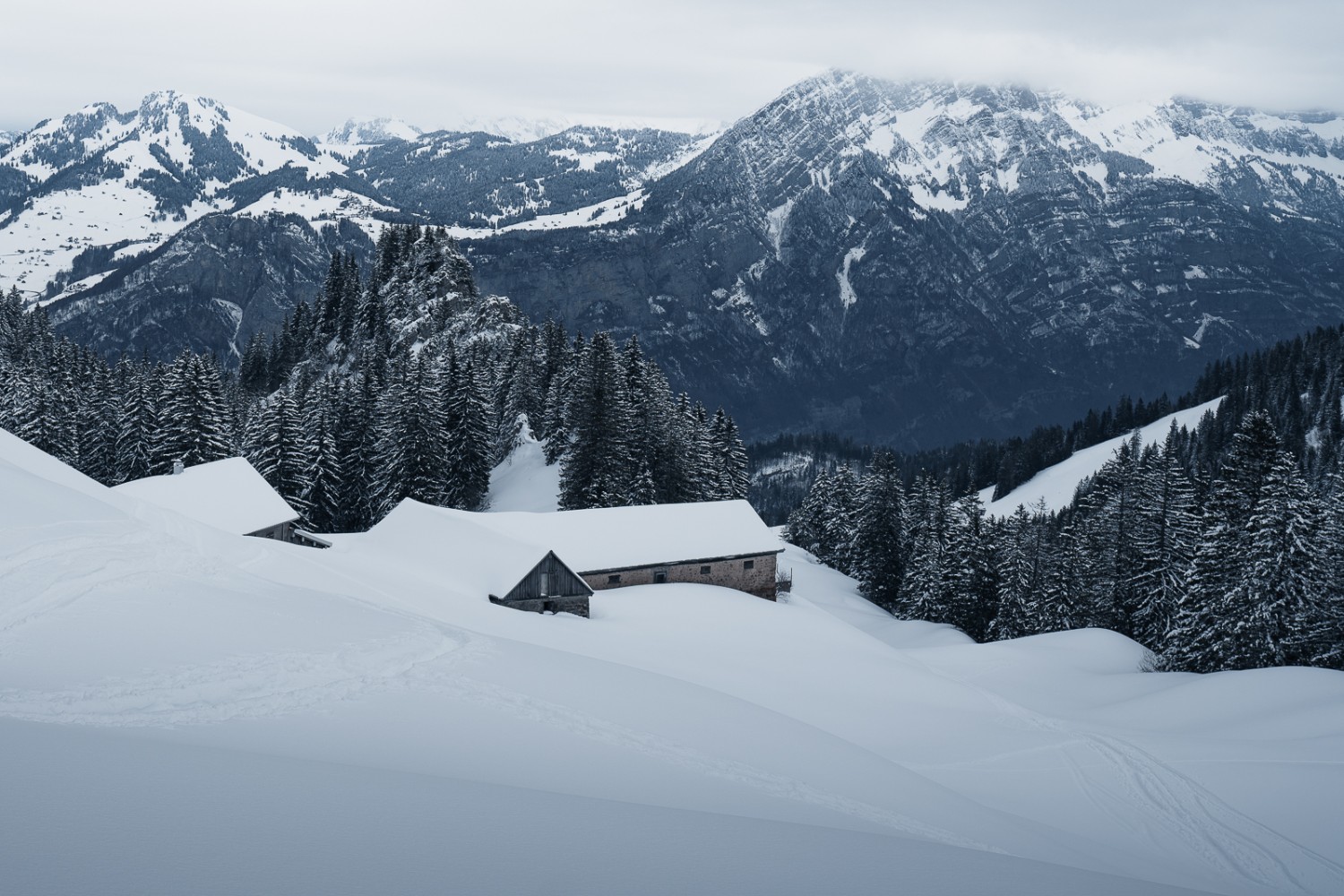 Un coup d’œil en arrière sur le Sunnespitz et les Churfirsten, qui se cachent. Photo: Jon Guler