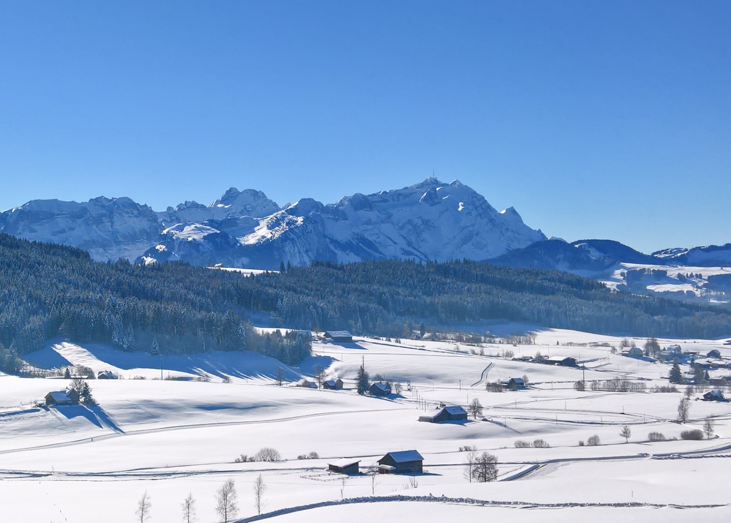 Vue sur le massif de l’Alpstein lors du retour à Gais. Photo: Andreas Staeger