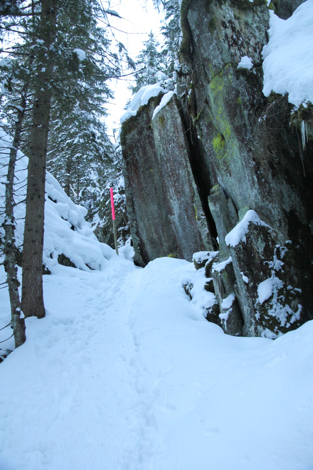 La piste de raquettes traverse une forêt d’éboulis. Photo: Elsbeth Flüeler