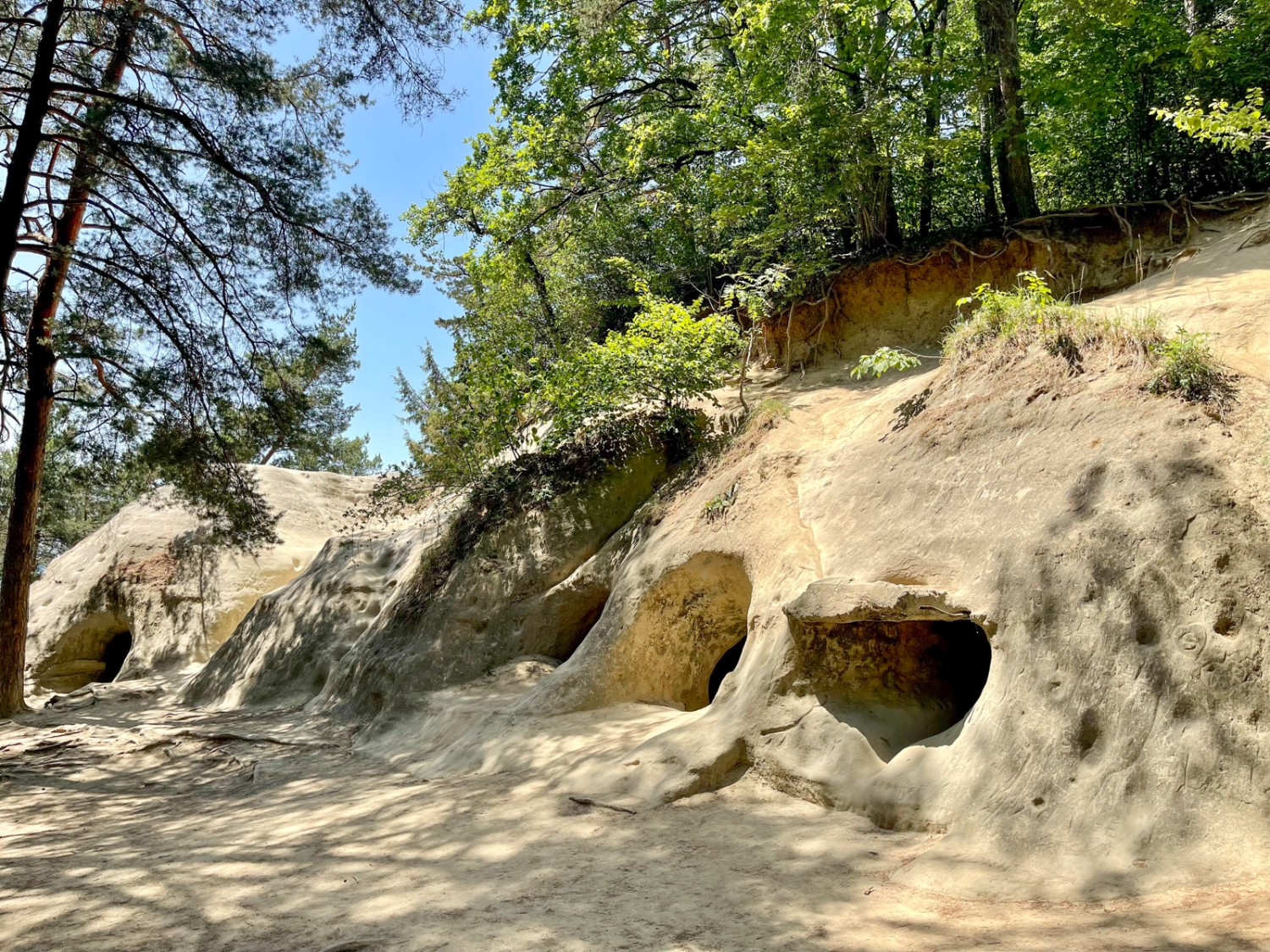 Les grottes de La Lamberta: environ 200 mètres de galeries avaient été creusés dans la molasse pour défendre le Plateau pendant la Première Guerre mondiale. Photo: Michael Roschi