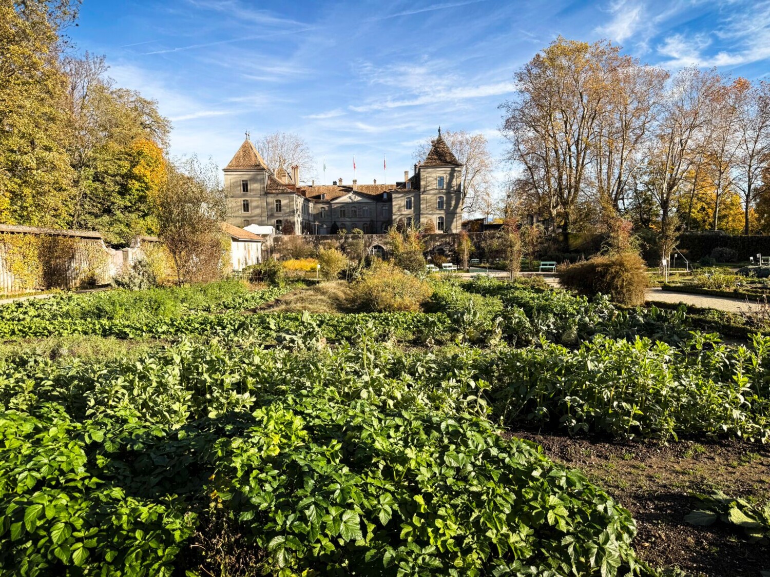 Le château de Prangins