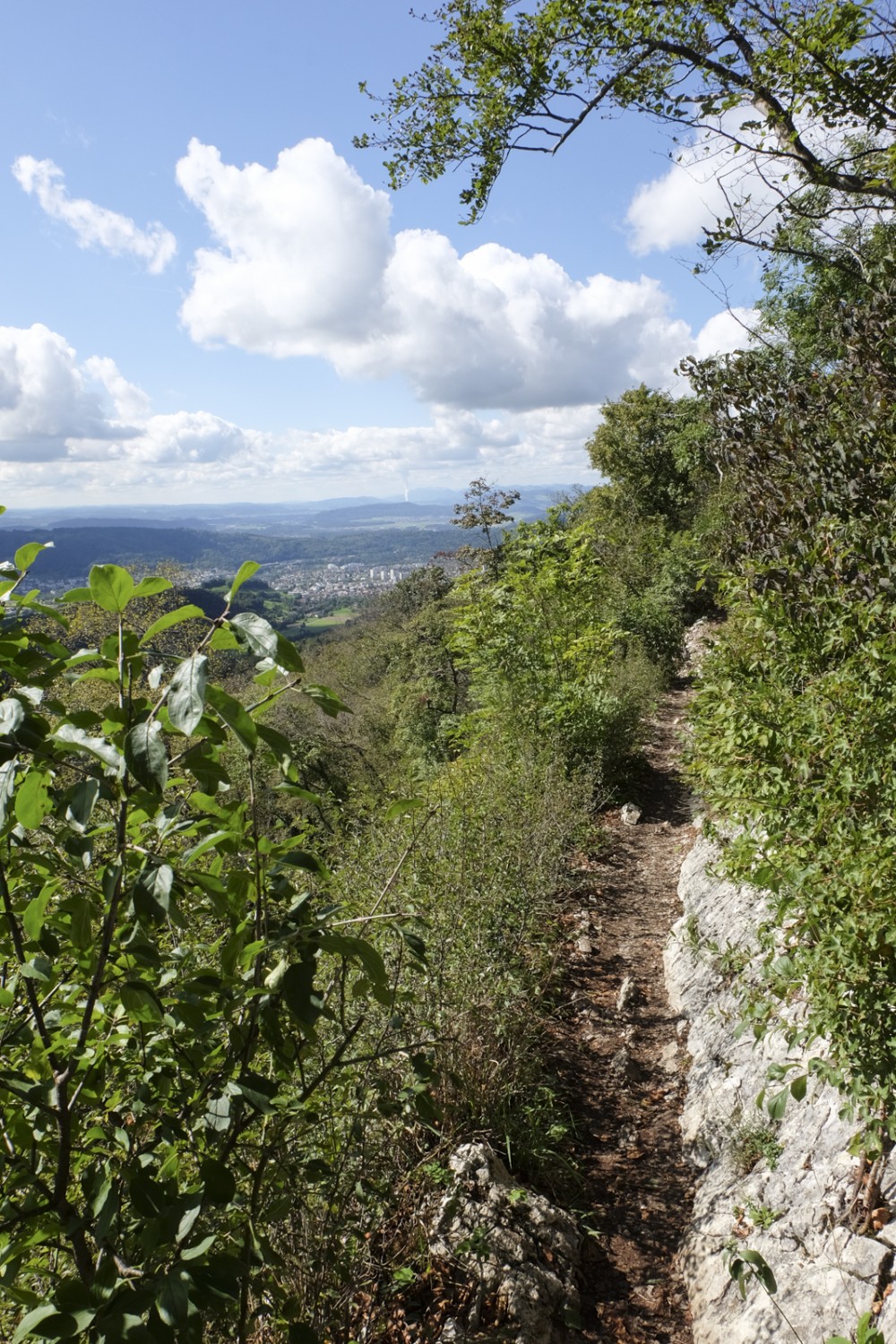 Der Weg verläuft auf der Südseite der Lägern, die Vegetation ist karg. Bild: Elsbeth Flüeler