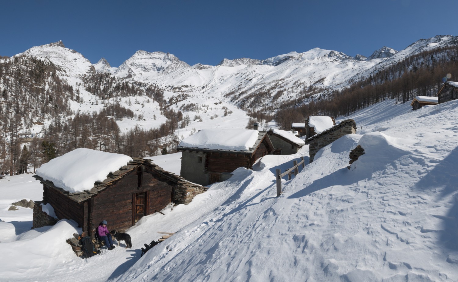 La Triftalp et, à l’arrière sur la gauche, le Lagginhorn. Photo: Heinz Staffelbach 