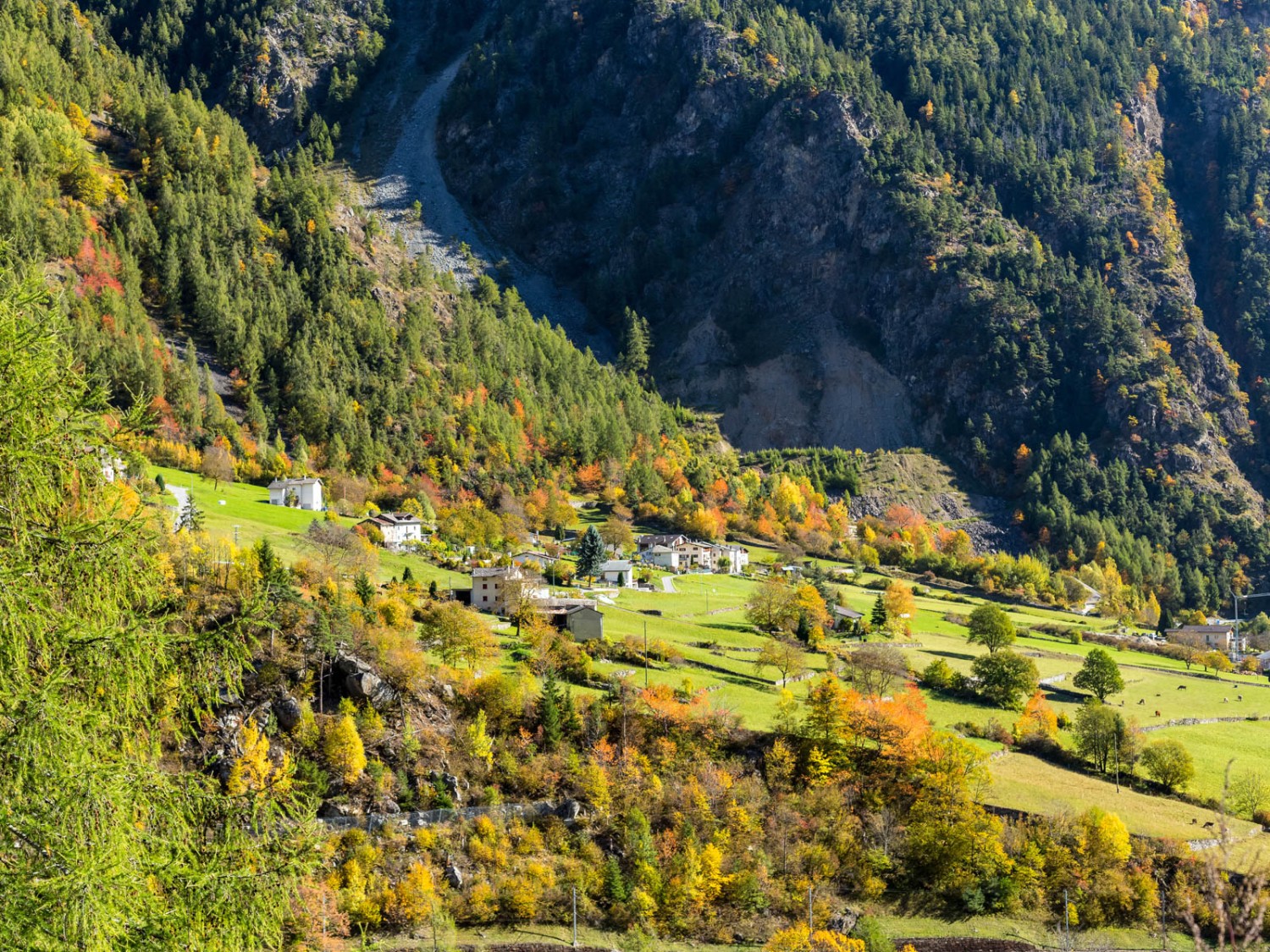 Automne dans le Val Poschiavo. Photo: Daniel Fleuti