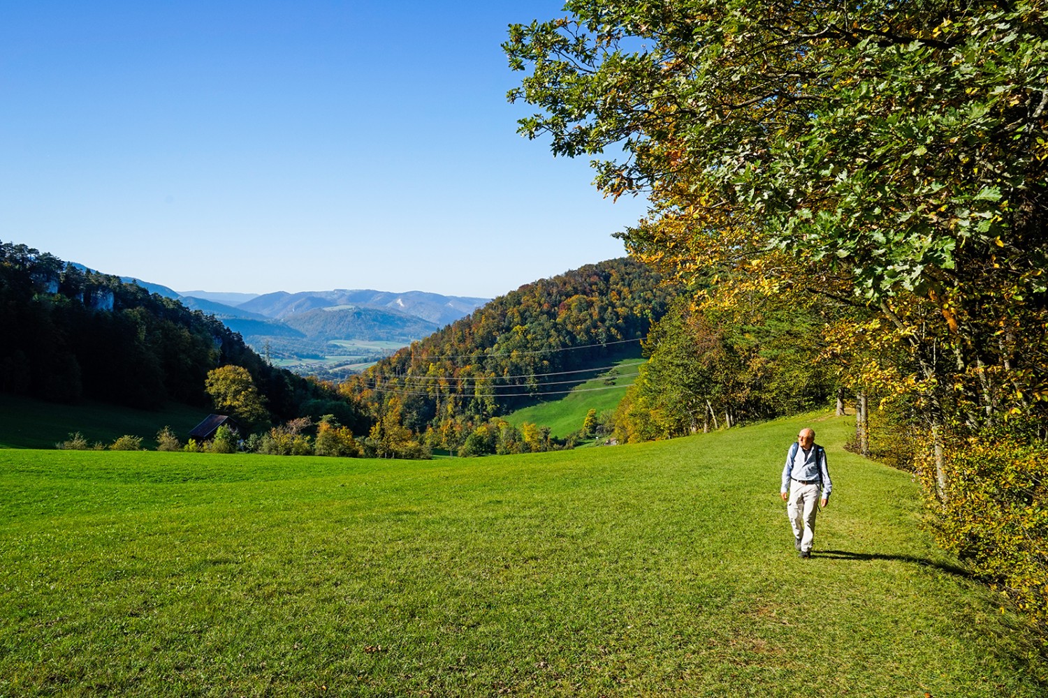 Il n’y a presque aucun chemin lors de la montée vers la crête du Stierenberg. 
Photos : Fredy Joss