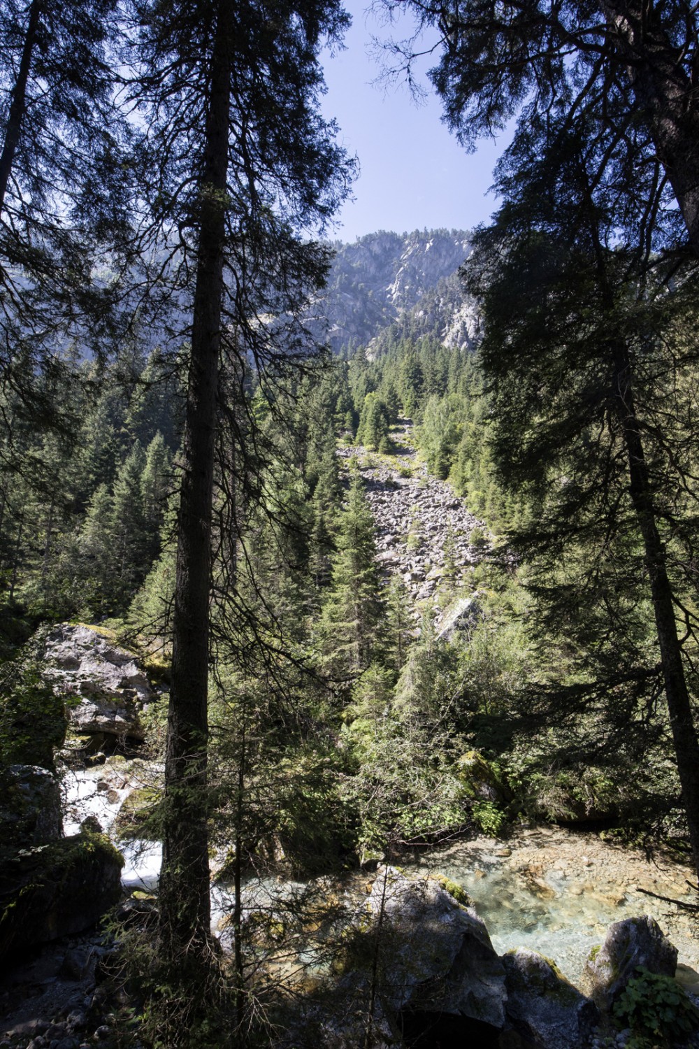 La rivière Fellibach est presque toujours présente le long du chemin; elle coule doucement ou alors gronde, blanche d’écume. Photo: Daniel Fleuti