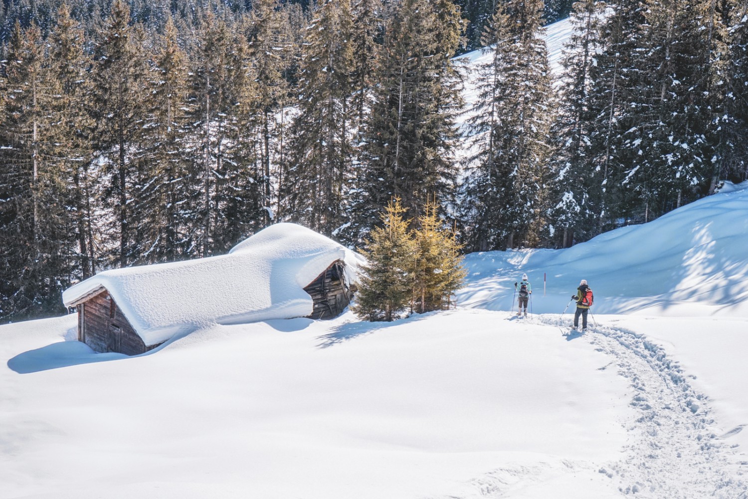 Près des cabanes d’alpage de Rauft. Photo: Fredy Joss