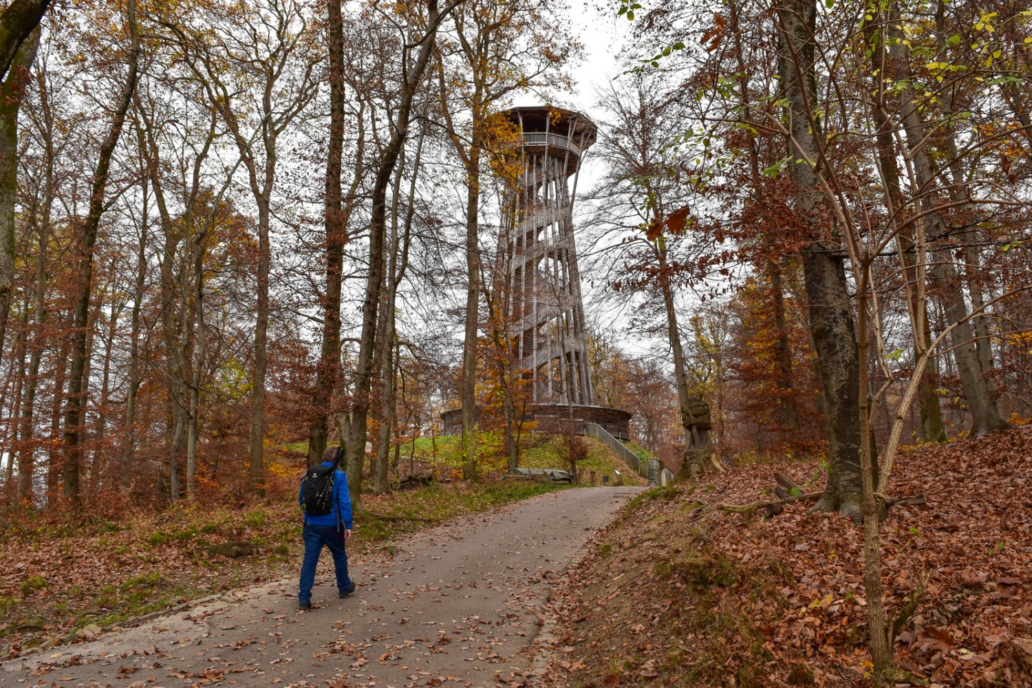 La tour d’observation du parc de Sauvabelin et son escalier en colimaçon. Photo: Nathalie Stöckli