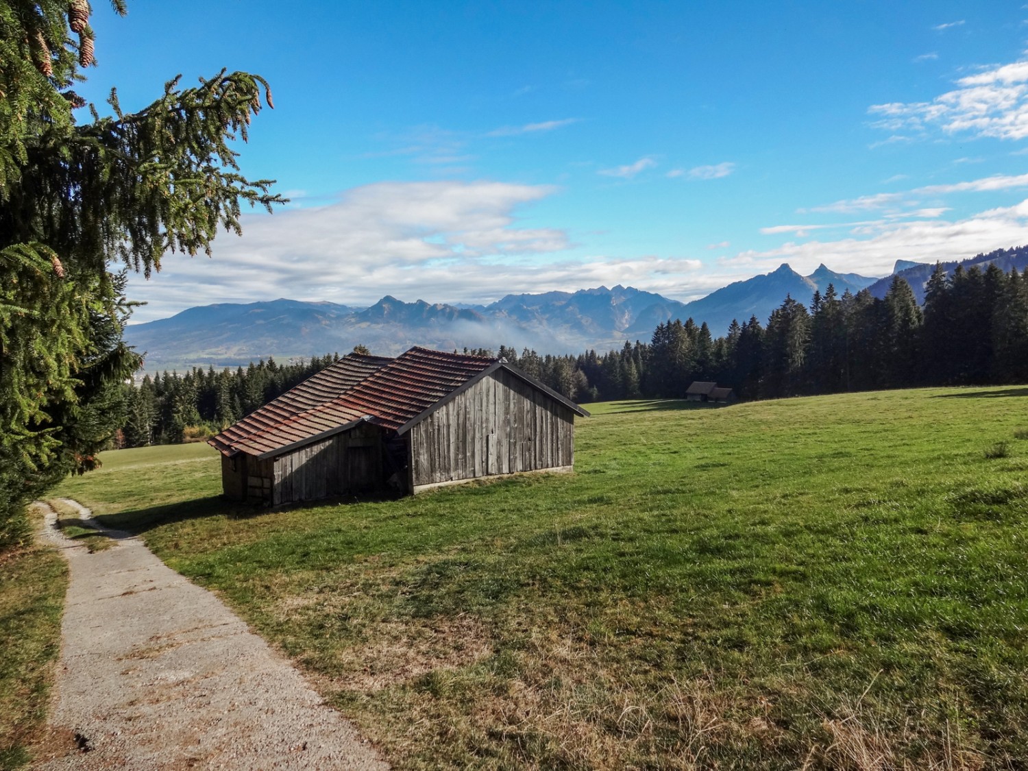 La montée a débuté. Les Préalpes fribourgeoises sont bien visibles. Photo: Miroslaw Halaba