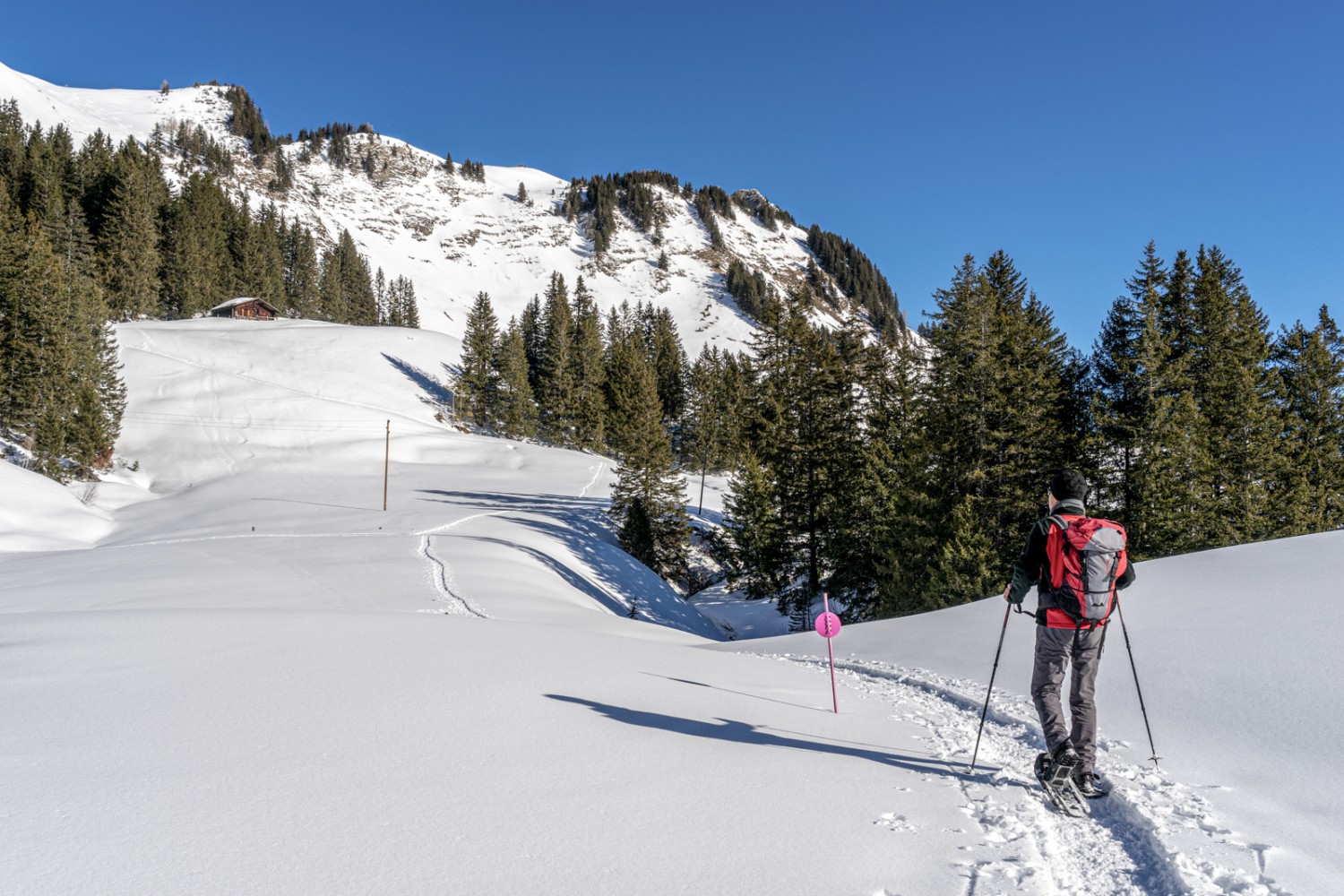 Le Rard, avec une belle vue sur le col de Voré. Photo: Fredy Joss