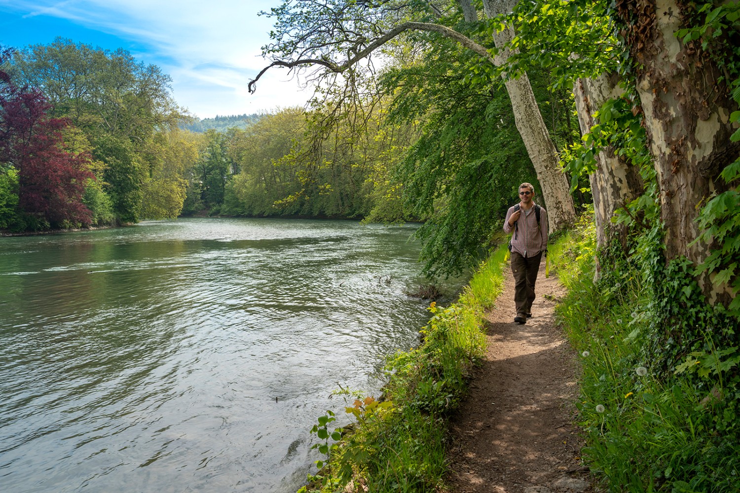 Kurz vor dem Zusammenfluss von Reuss und Aare bei Windisch führt der Wanderweg direkt dem Wasser entlang.Bilder: Severin Nowacki