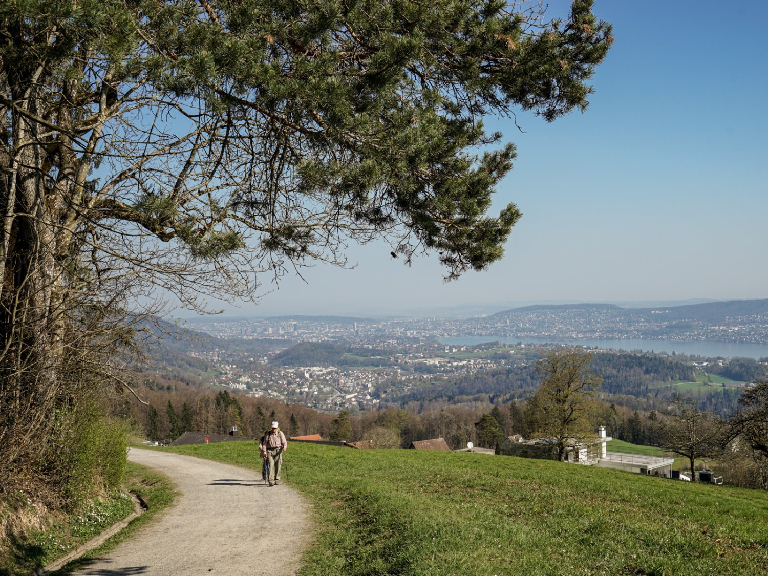 La montée du col d’Albispasshöhe vers Hochwacht offre un panorama sur le lac de Zurich. Photo: Reto Wissmann