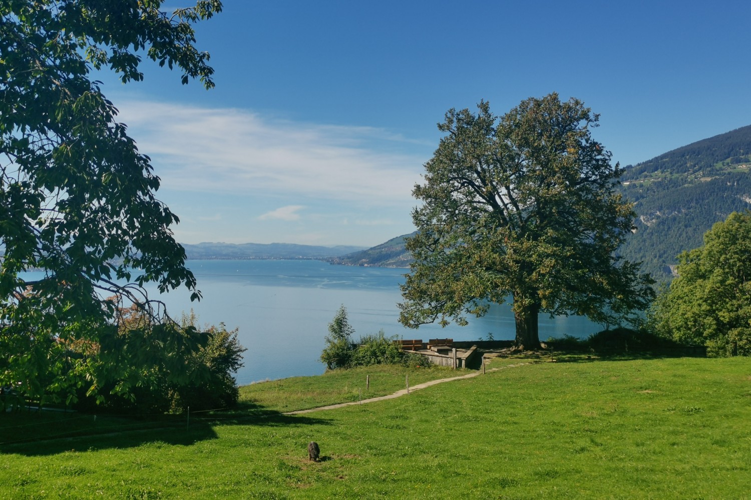 Il monumento commemorativo di Hodler a Finel, Meielisalp. Foto: Evelyne Zaugg