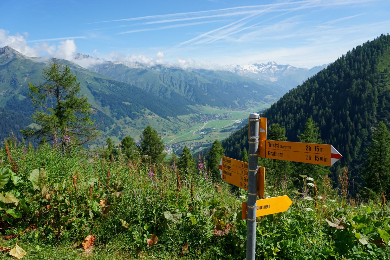 Aussicht von der Alp Bordstafel ins obere Goms.