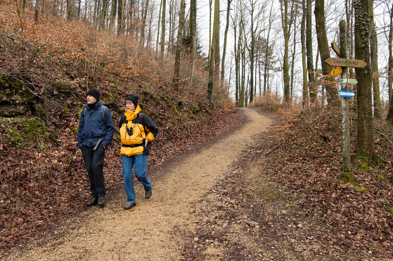 La forêt protège de la pluie et le chemin graveleux offre une bonne adhérence.