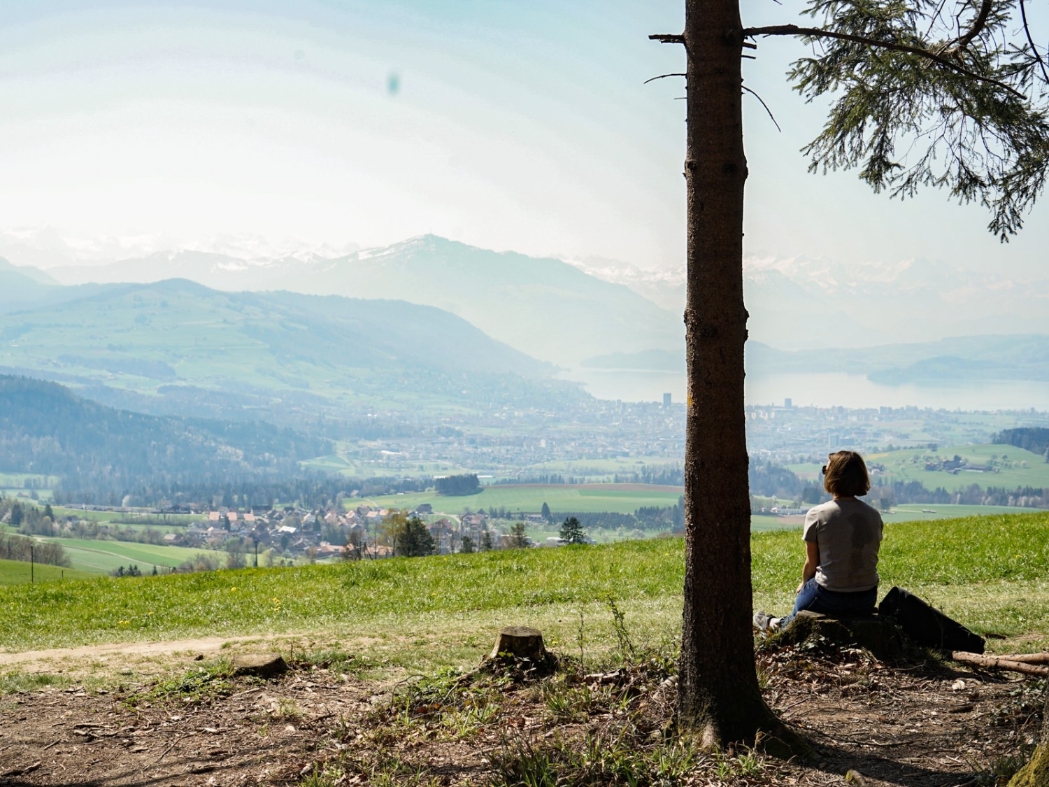 À Oberalbis, on jouit d’une vue formidable sur le lac de Zoug et la Suisse centrale. Photo: Reto Wissmann