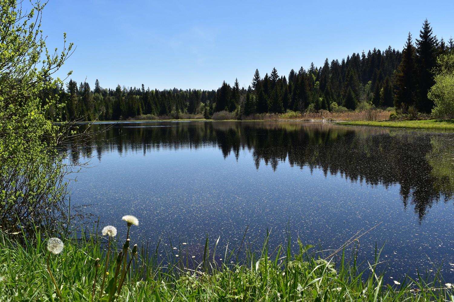 L’étang des Royes, un beau lieu pour la fin de la randonnée.