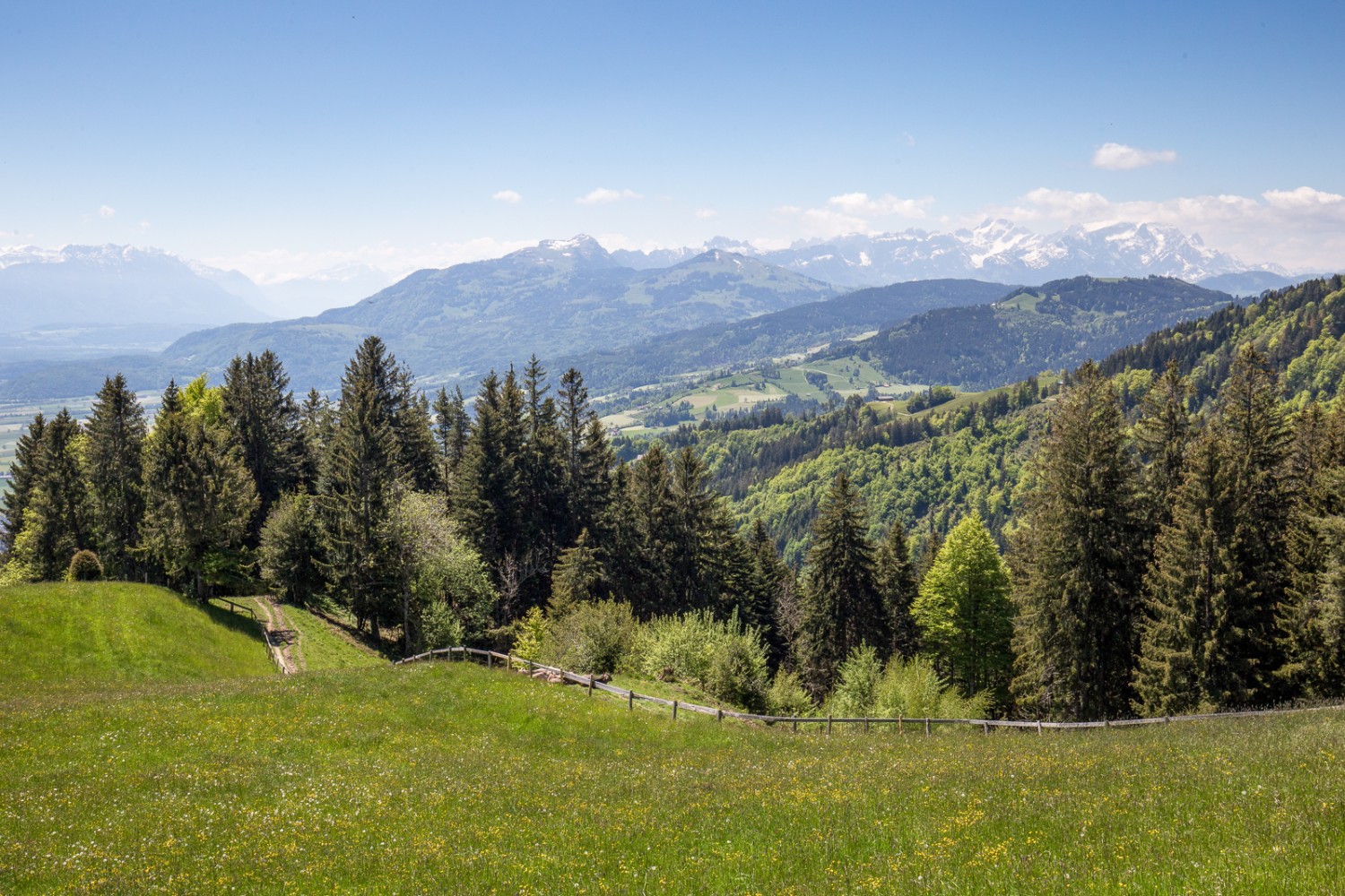 La randonnée offre des vues variées. Depuis St. Anton, le panorama s’étend de la vallée du Rhin à l’Alpstein. Photo: Daniel Fleuti 

