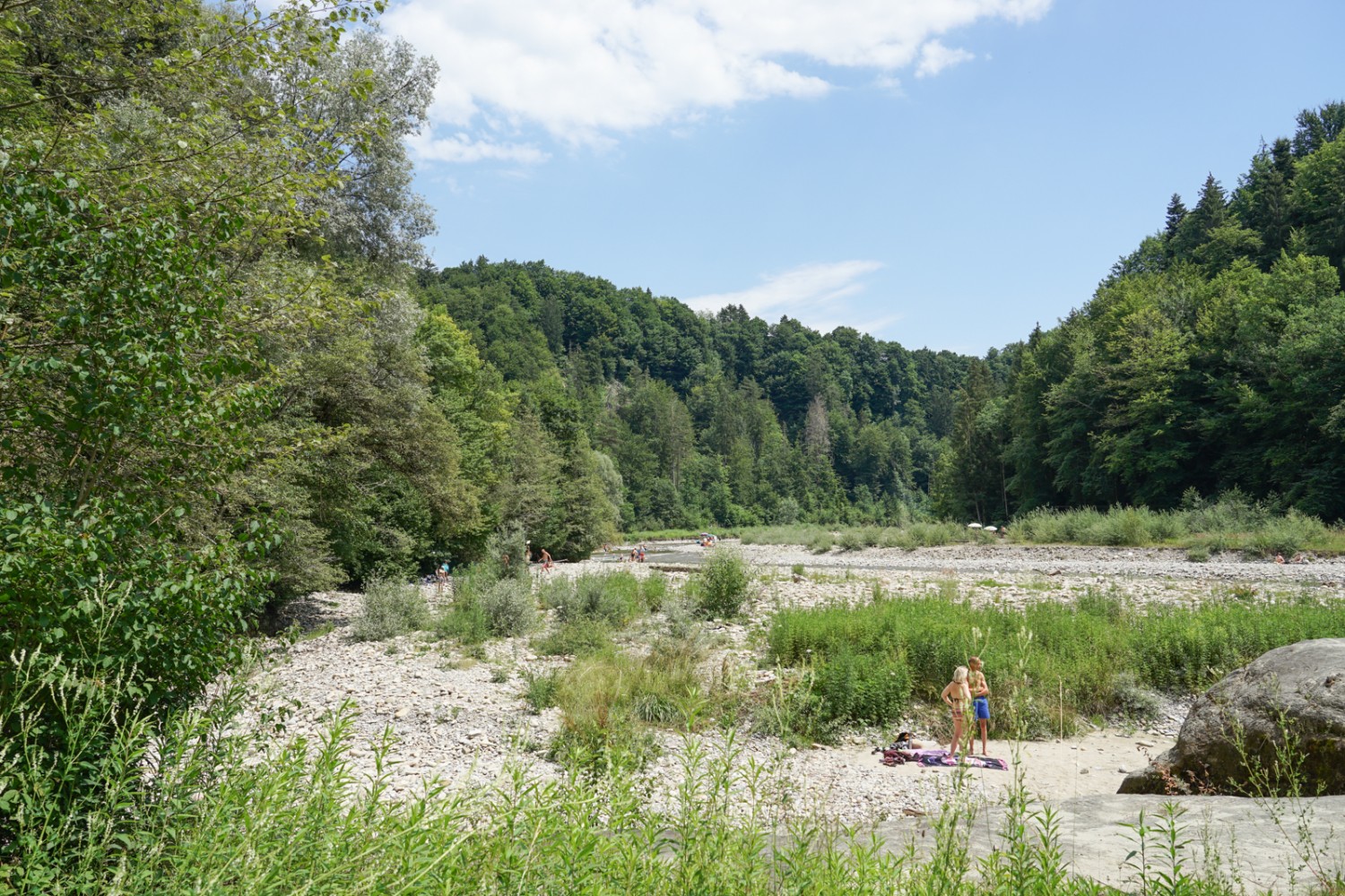 Nach der Mündung in die Sense wird das Tal breiter. Bild: Reto Wissmann