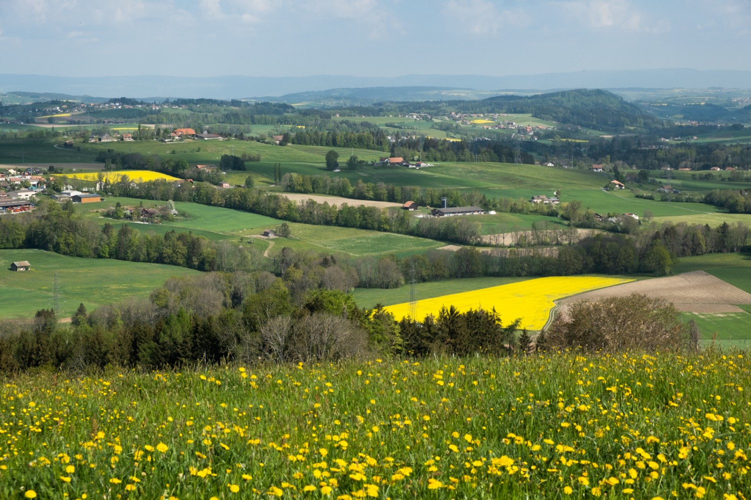 Peu après le départ, vous avez une vue magnifique sur les prairies et les champs.