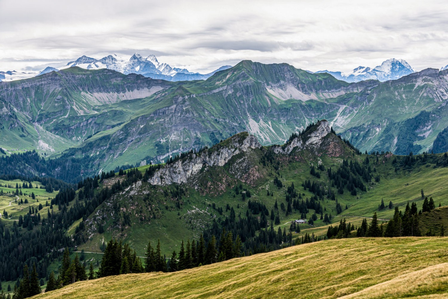 Vue sur les Alpes bernoises. Photo: Franz Ulrich