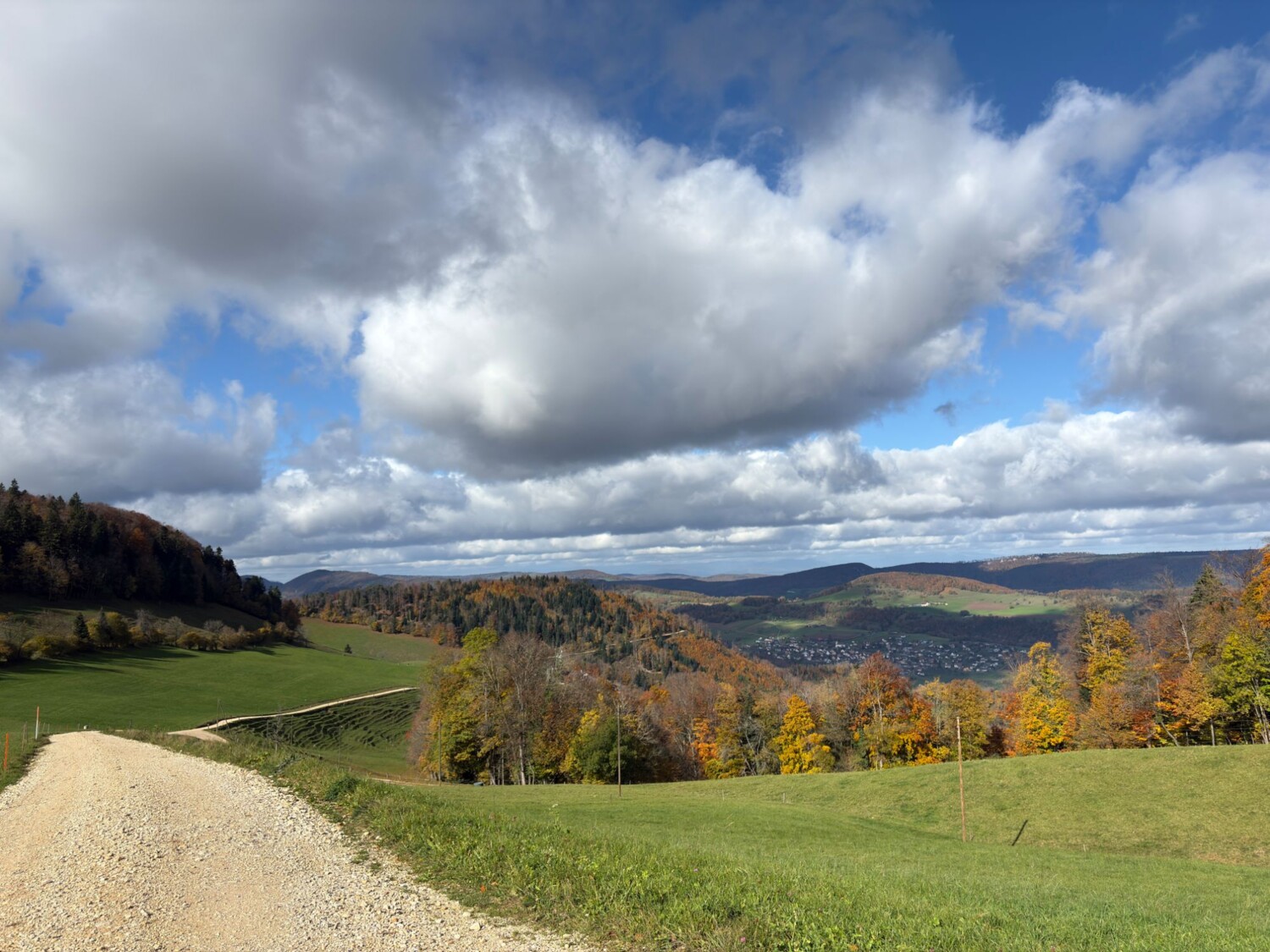 Ab Vögeli führt ein Mergelweg weiter Richtung Misteli. Es bieten sich Ausblicke auf die sanften Hügel des Solothurner Juras.