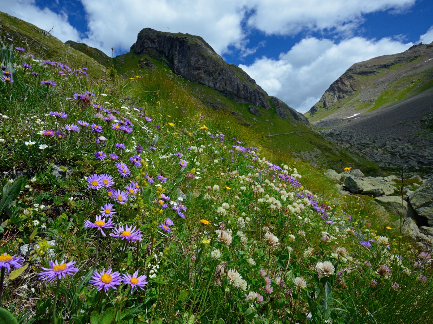 Le chemin passe par ici et offre une vue sur le col du Val Viola. Photo: natur-welten.ch