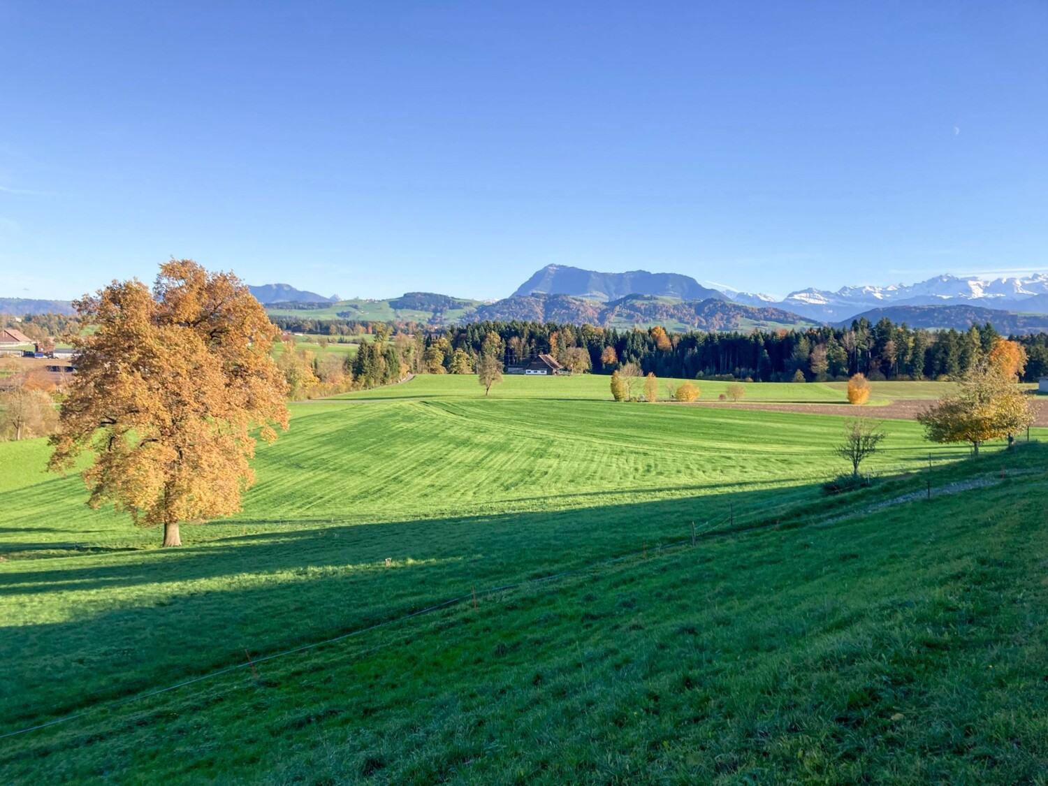 Le Rigi est presque toujours visible le long de la randonnée.