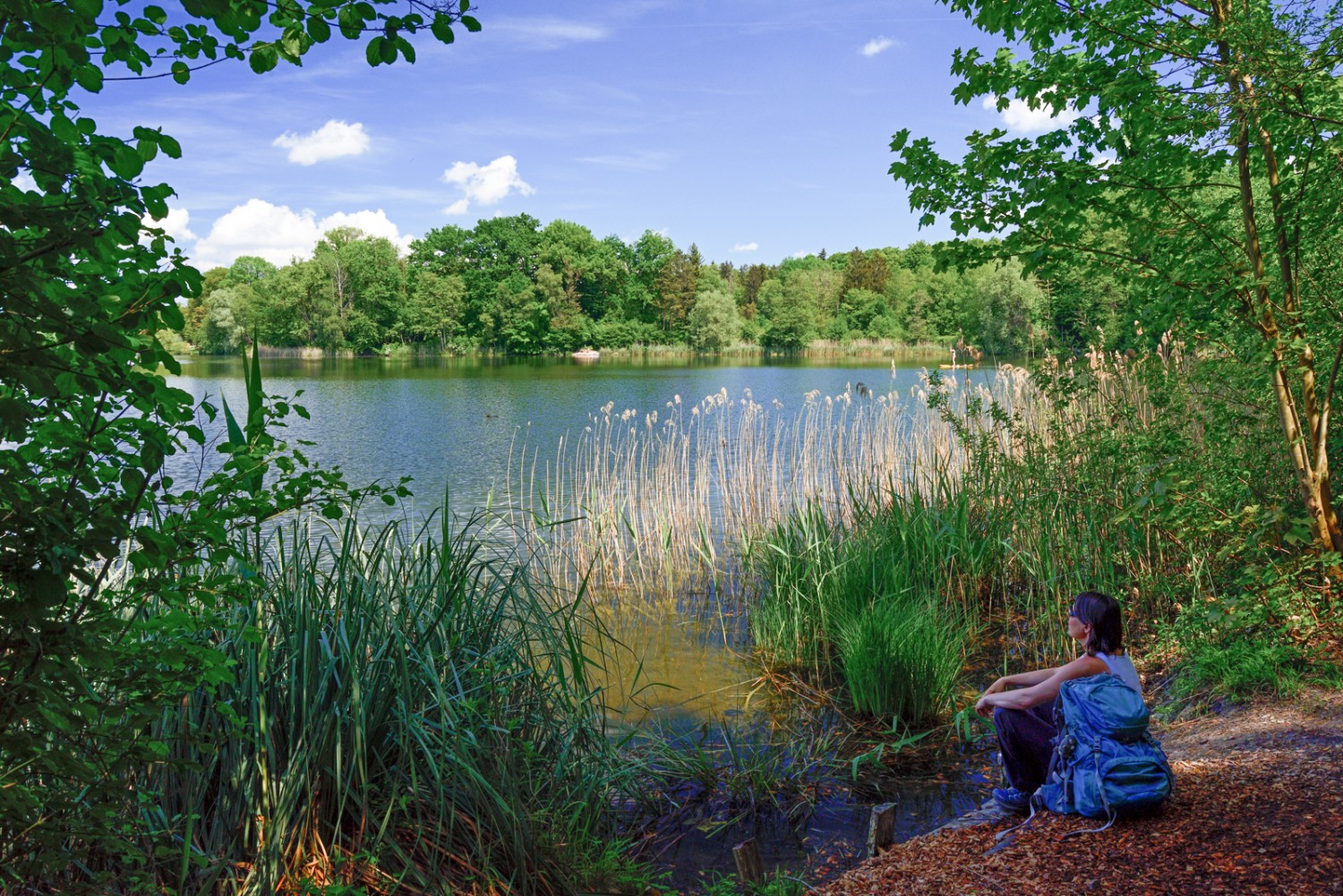 Le lac de Burgäschi est un endroit propice au repos. Photo: natur-welten.ch