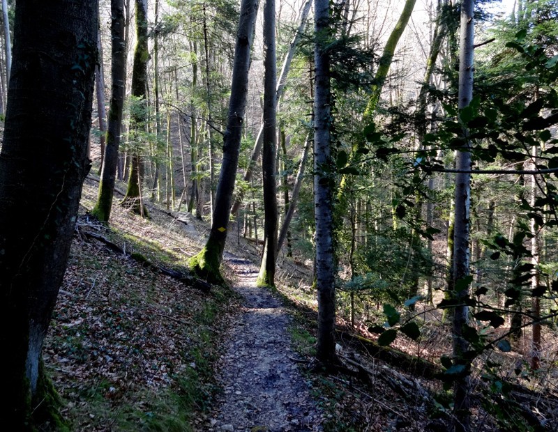 A la découverte des mystères d'un profond ravin près du château de Wildenstein.