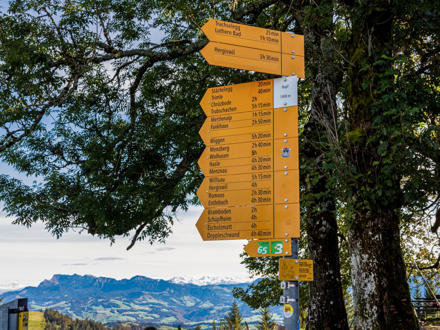 Quel chemin prendre? Photo: Franz Ulrich