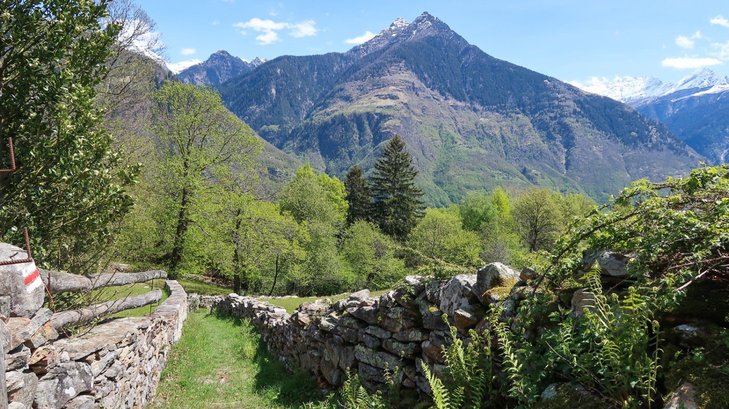 Peu après Navone, en direction de Semione. Bild: Loïc von Matt