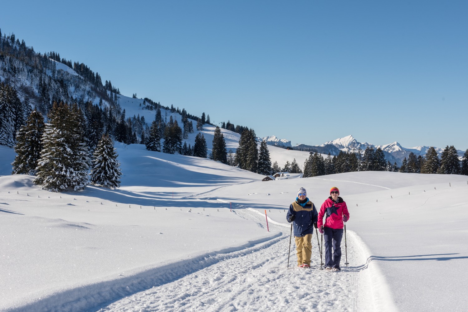 Le chemin menant à Gamperfinboden offre de belles vues sur les montagnes; en arrière-plan, le Gulmen et le Speer.
Photo: Toggenburg Tourismus