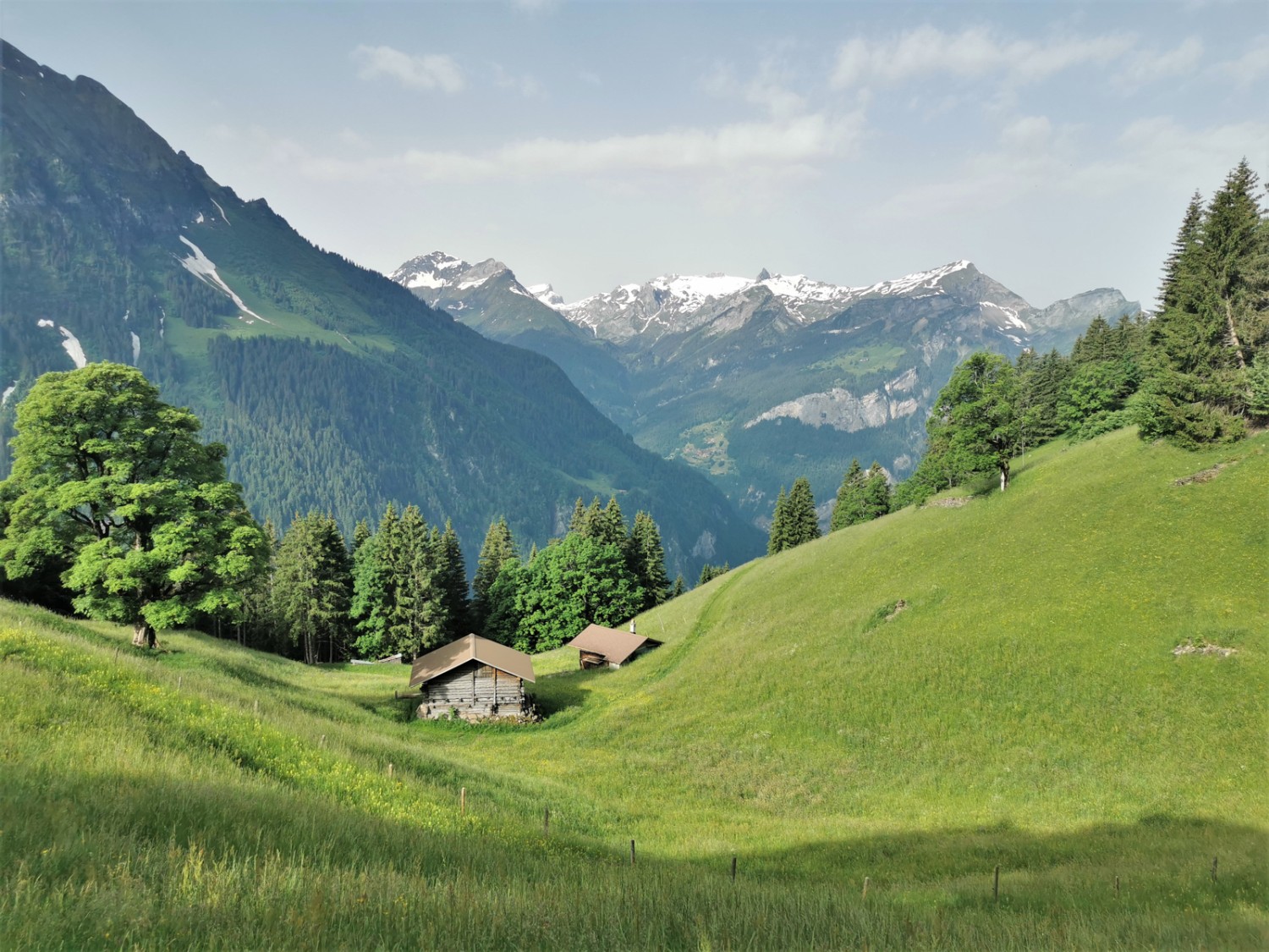 La vue depuis Sengg, où l’économie montagnarde et alpestre définit le paysage. Bild: Andreas Staeger