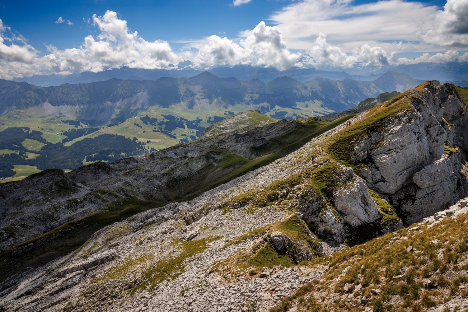 Au sud, la vue s’étend jusqu’aux Alpes bernoises. Photo: Severin Nowacki